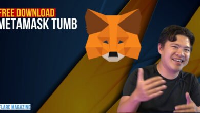 Download MetaMask Tumb