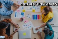 How I Started My Software Development Agency